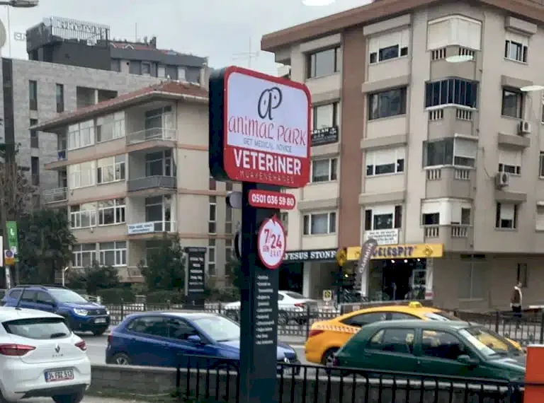 animal park feneryolu