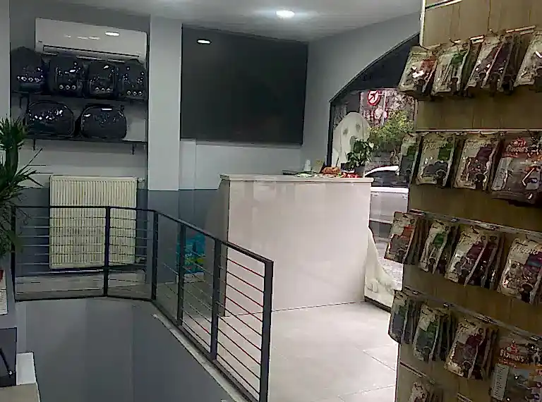 veteriner klinik görselleri