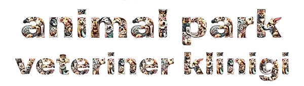 pet shop market