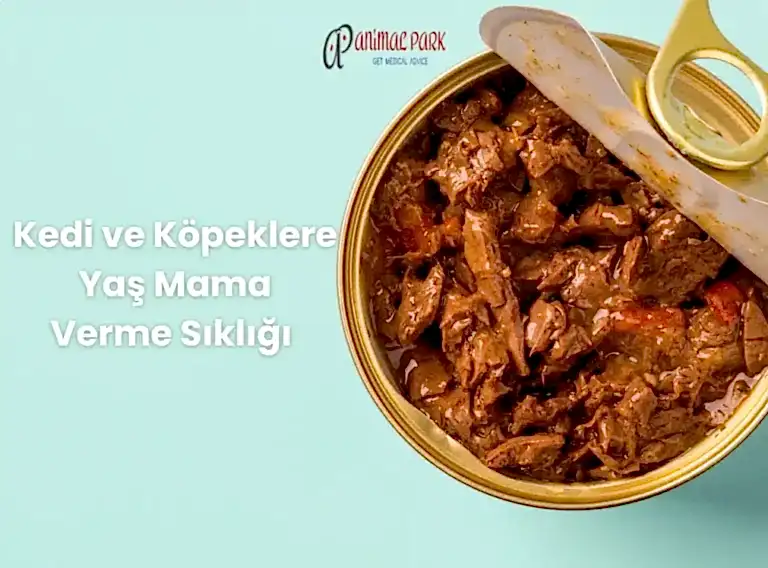 yaş mama
